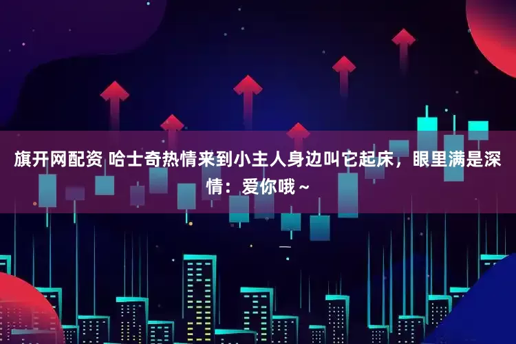 旗开网配资 哈士奇热情来到小主人身边叫它起床，眼里满是深情：爱你哦～