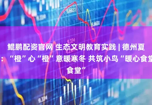 鲲鹏配资官网 生态文明教育实践 | 德州夏津：“橙”心“橙”意暖寒冬 共筑小鸟“暖心食堂”