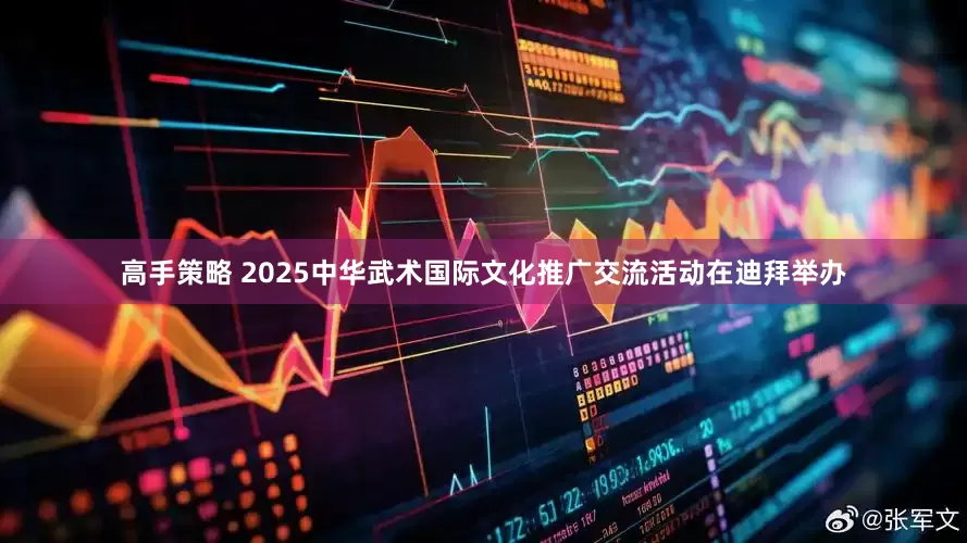高手策略 2025中华武术国际文化推广交流活动在迪拜举办