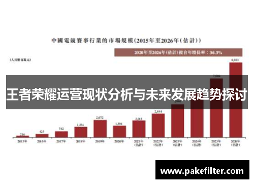 王者荣耀运营现状分析与未来发展趋势探讨